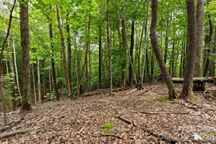 203 Sourwood Ln, Beech Mountain, NC 28604 - Photo 1