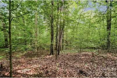 Vac Pond Road, Locust, NC 28097 - Photo 3