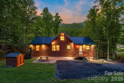 382 Paint Fork Road, Barnardsville, NC 28709 - Photo 3