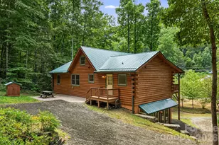 382 Paint Fork Rd, Barnardsville, NC 28709 - Photo 7