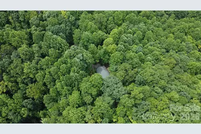 253 Royalwood Drive, Zirconia, NC 28790 - Photo 23