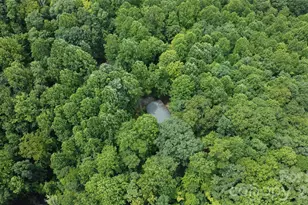 253 Royalwood Dr, Zirconia, NC 28790 - Photo 23