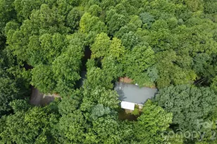 253 Royalwood Dr, Zirconia, NC 28790 - Photo 21