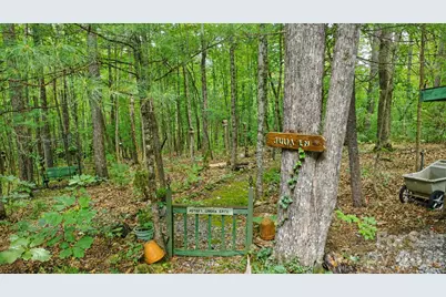 253 Royalwood Drive, Zirconia, NC 28790 - Photo 35