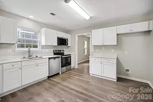 10220 Seedling Ln, Charlotte, NC 28214 - Photo 11