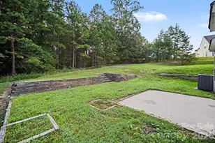 10220 Seedling Ln, Charlotte, NC 28214 - Photo 29