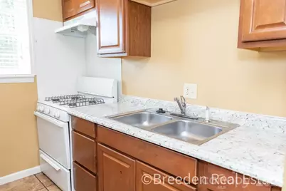239 Maple Street, Rutherfordton, NC 28139 - Photo 9
