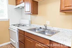 239 Maple St, Rutherfordton, NC 28139 - Photo 9