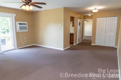 239 Maple Street, Rutherfordton, NC 28139 - Photo 5
