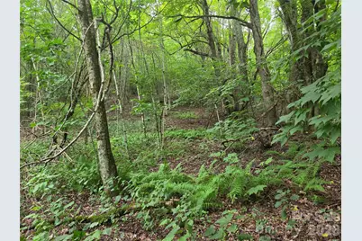 701 Pigeon Roost Road, Banner Elk, NC 28604 - Photo 17