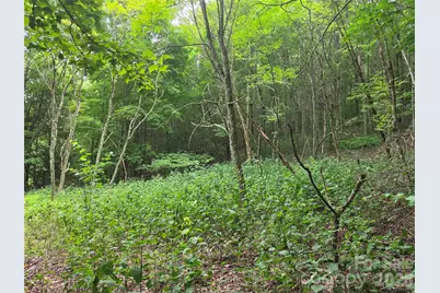 701 Pigeon Roost Road, Banner Elk, NC 28604 - Photo 3