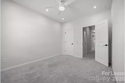 217 Brooks Springs Drive, Fort Mill, SC 29708 - Photo 33