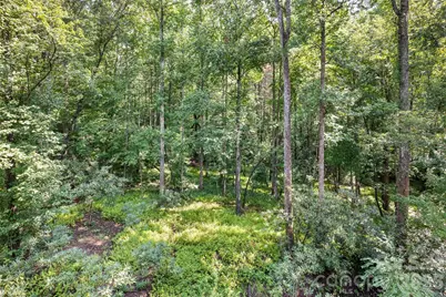 55 Settlers Cove, Brevard, NC 28712 - Photo 45