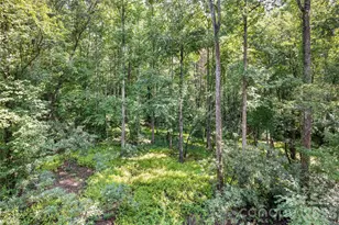 55 Settlers Cv, Brevard, NC 28712 - Photo 45