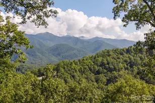 444 Lookout Pt, Bryson City, NC 28713 - Photo 45