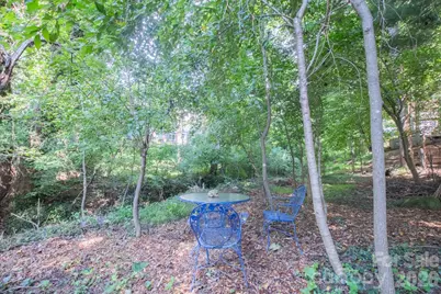 99999 Rumbough Place, Asheville, NC 28806 - Photo 9
