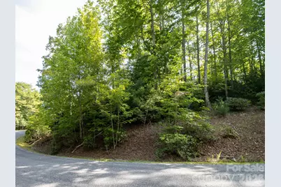Tbd Kelly Mountain Road #19, Brevard, NC 28712 - Photo 3