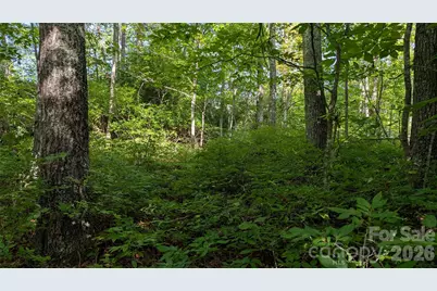 Tbd Kelly Mountain Road #19, Brevard, NC 28712 - Photo 5