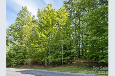 Tbd Kelly Mountain Road #19, Brevard, NC 28712 - Photo 7