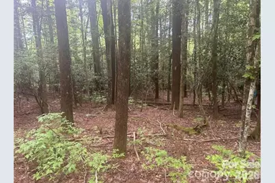 Tbd Upper Whitewater Road, Brevard, NC 28712 - Photo 3