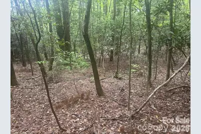 Tbd Upper Whitewater Road, Brevard, NC 28712 - Photo 5
