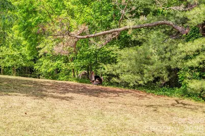 136 Graveyard Road #Lots 1&2, Fairview, NC 28730 - Photo 41