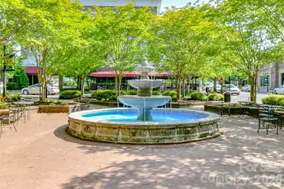 1060 Drayton Court, Fort Mill, SC 29708 - Photo 47