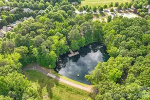 9223 Robbins Preserve Rd, Cornelius, NC 28031 - Photo 47