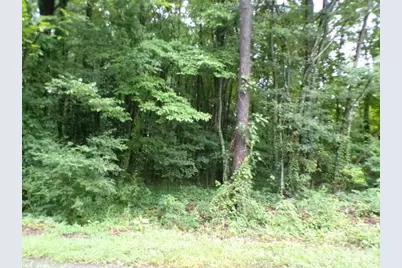 0 Larch Road #28, Salisbury, NC 28147 - Photo 3