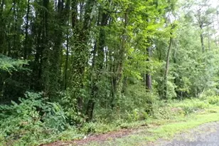 0 Larch Rd, Salisbury, NC 28147 - Photo 1