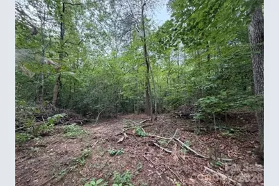 651  Bishs Way, Bishs Way, Lincolnton, NC 28092 - Photo 9