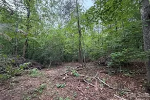 651 Bishs Way Bishs Way, Lincolnton, NC 28092 - Photo 9