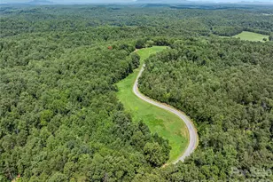 292 Fowler Rd, Mill Spring, NC 28756 - Photo 25