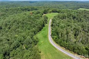 292 Fowler Rd, Mill Spring, NC 28756 - Photo 27