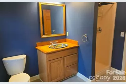 3205 Collinsville Road, Columbus, NC 28722 - Photo 19
