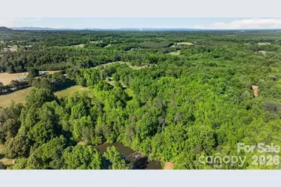 3205 Collinsville Road, Columbus, NC 28722 - Photo 45