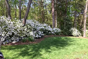 8724 Suninghurst Ln, Charlotte, NC 28277 - Photo 35
