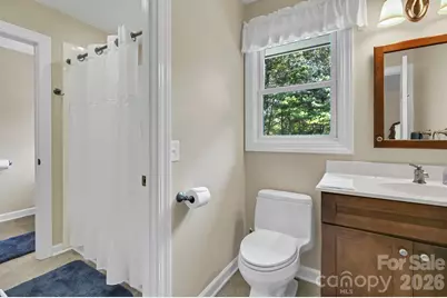3 Rodney Court, Flat Rock, NC 28731 - Photo 33
