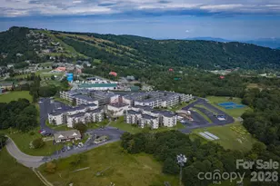 301 Pinnacle Inn Rd, Beech Mountain, NC 28604 - Photo 29