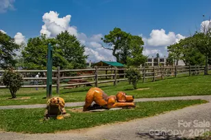 301 Pinnacle Inn Rd, Beech Mountain, NC 28604 - Photo 45