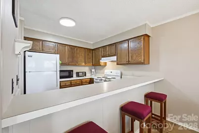 301 Pinnacle Inn Road #2116, Beech Mountain, NC 28604 - Photo 11