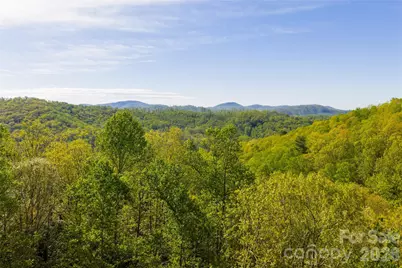 36 Snowshoe Drive, Asheville, NC 28803 - Photo 45