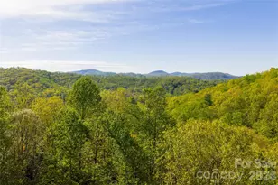 36 Snowshoe Dr, Asheville, NC 28803 - Photo 45