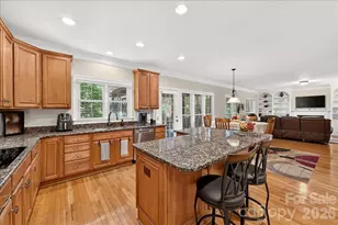 16725 Hammock Creek Pl, Charlotte, NC 28278 - Photo 11