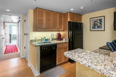 37 Hiawassee Street #W203, Asheville, NC 28801 - Photo 7