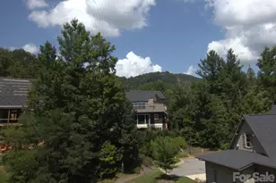 47 Versailles Ln, Asheville, NC 28804 - Photo 39