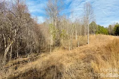 0 Clearwater Parkway #238, Rutherfordton, NC 28139 - Photo 7