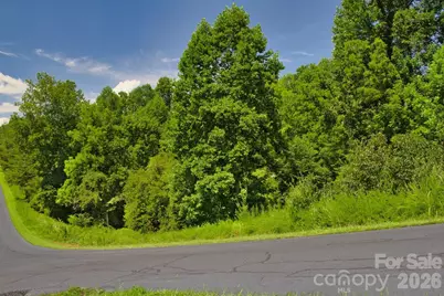 0 Clearwater Parkway #238, Rutherfordton, NC 28139 - Photo 5