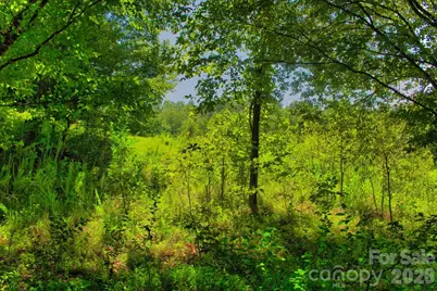 0 Clearwater Parkway #238, Rutherfordton, NC 28139 - Photo 3