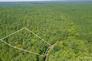 0 Riverbluff Ln, Lilesville, NC 28091 - Photo 1